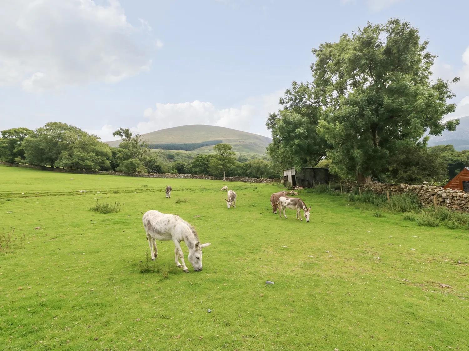 Ty Bach Villa Caernarfon Luaran gambar